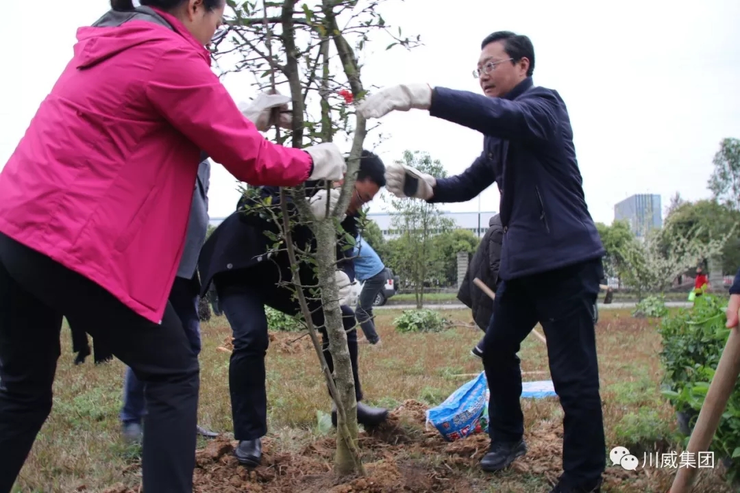 球友会举办2019年植树节活动(图3)