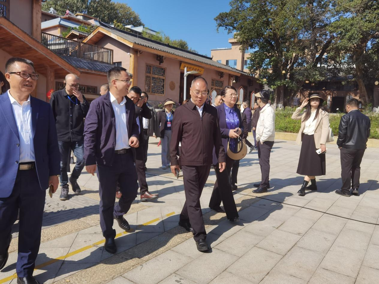 全省文化旅游融合示范项目工作总结交流会代表团考察学习大石板项目(图7)